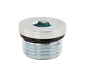 Pipe Plug 1/2 Allen - O-Ring Style