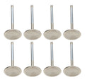 SBM C/6 2.020 Intake Valves 3/8 x 4.980
