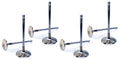 2.100 R/F Intake Valves 6.1L Gen-3 Hemi
