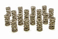 1.304 Dual Valve Springs - RPM Series (16)