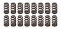 1.290 Valve Springs - Ovate Beehive (16)