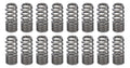 1.031 RPM Series Valve Springs - Beehive (16)