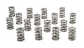 1.625 Dual Valve Springs (16)