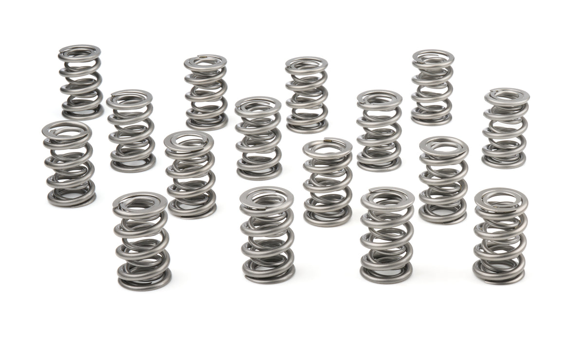 1.625 Dual Valve Springs (16)