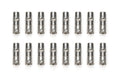 Delphi LS Hyd Roller Lifter Set (16pk )